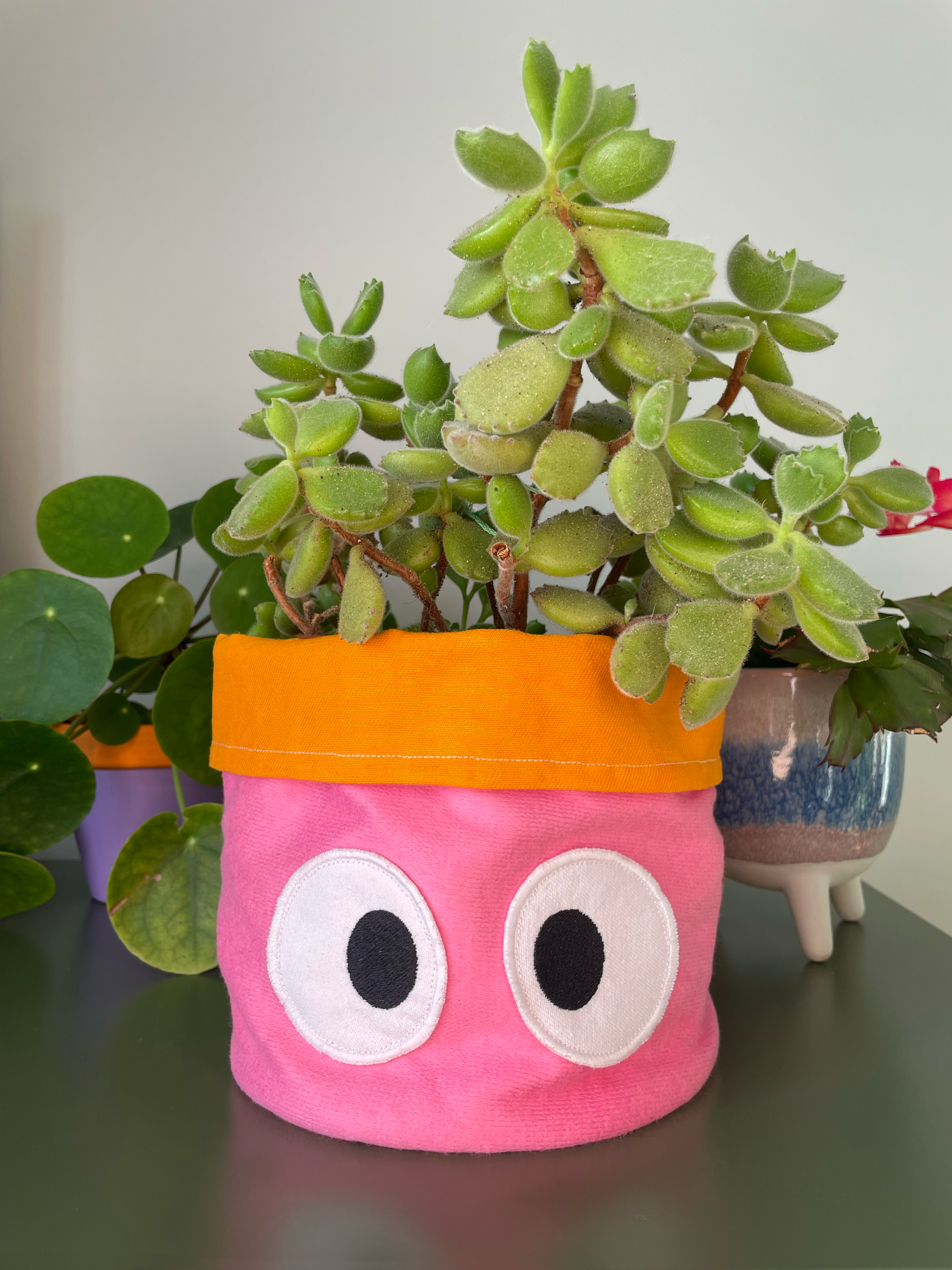 Planty Peepers Handmade Plant Pot