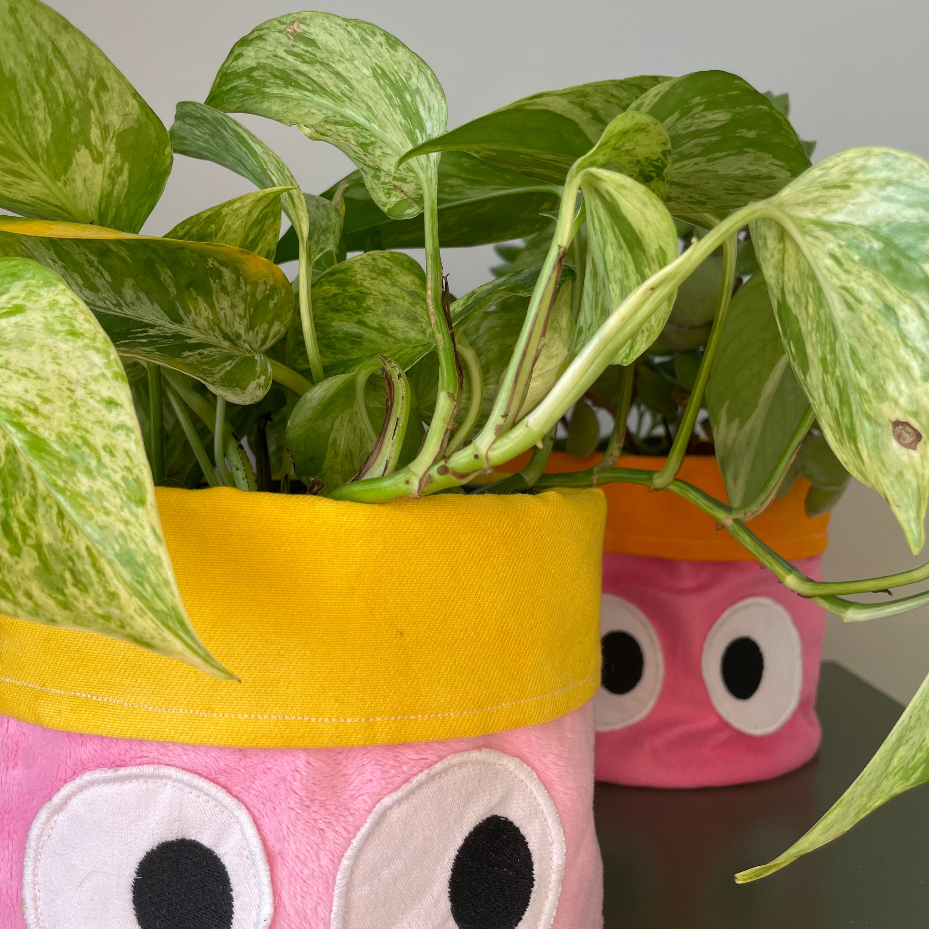 Planty Peepers Handmade Plant Pot