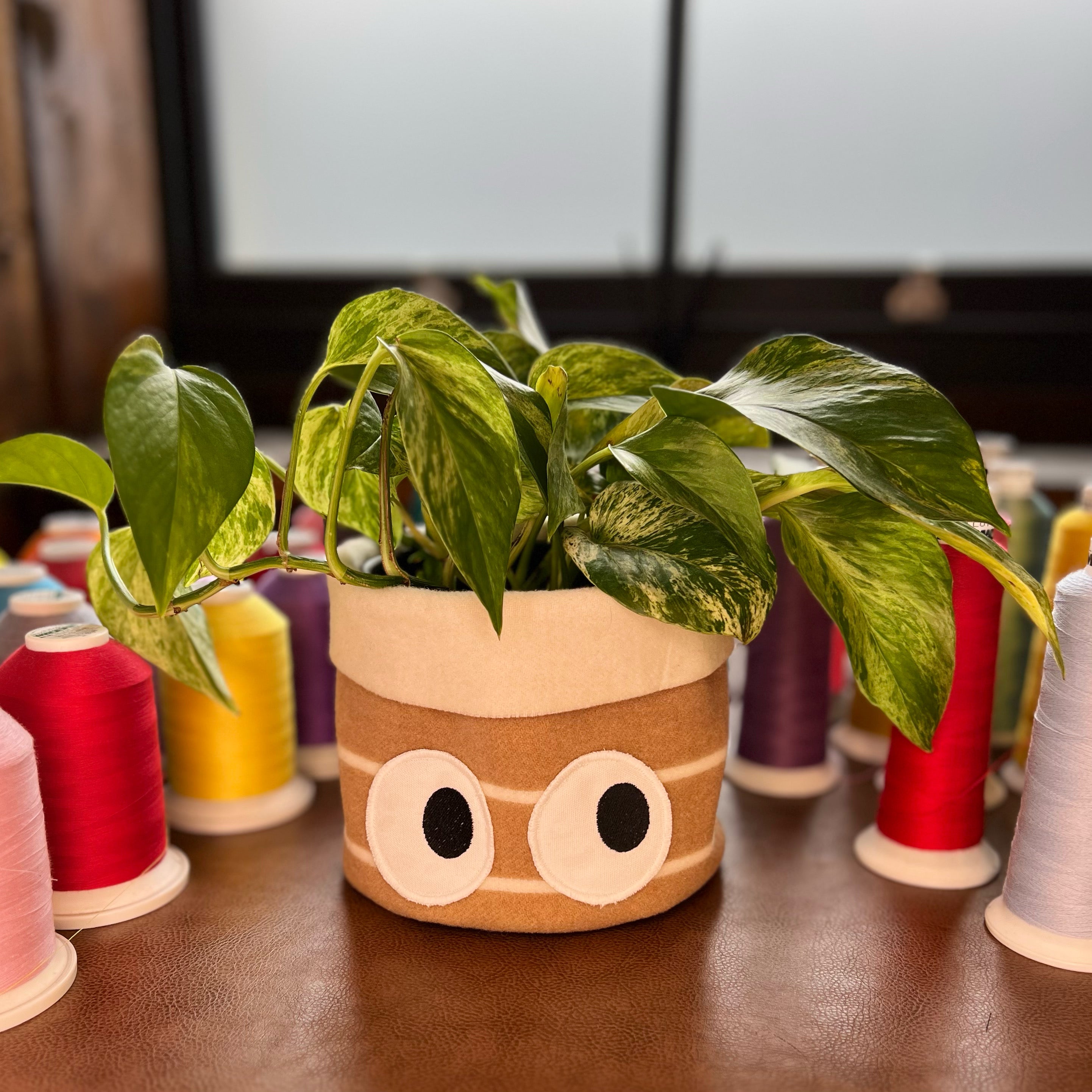 Planty Peepers Handmade Plant Pot