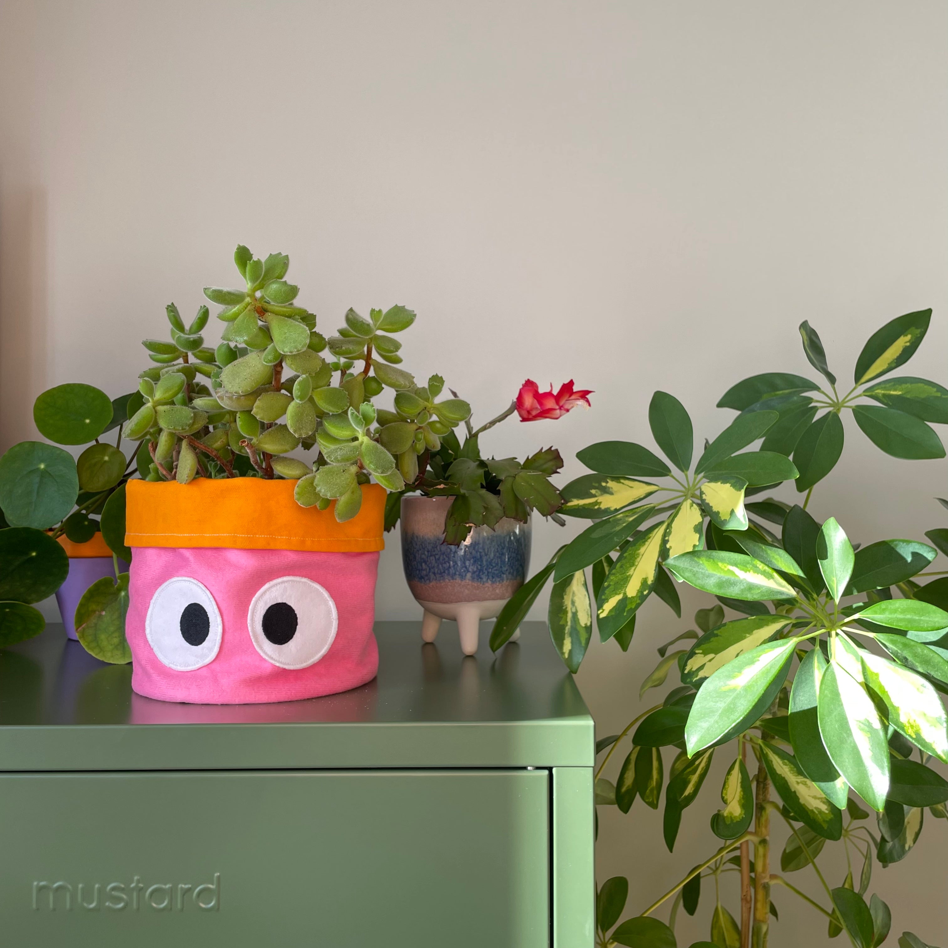 Planty Peepers Handmade Plant Pot