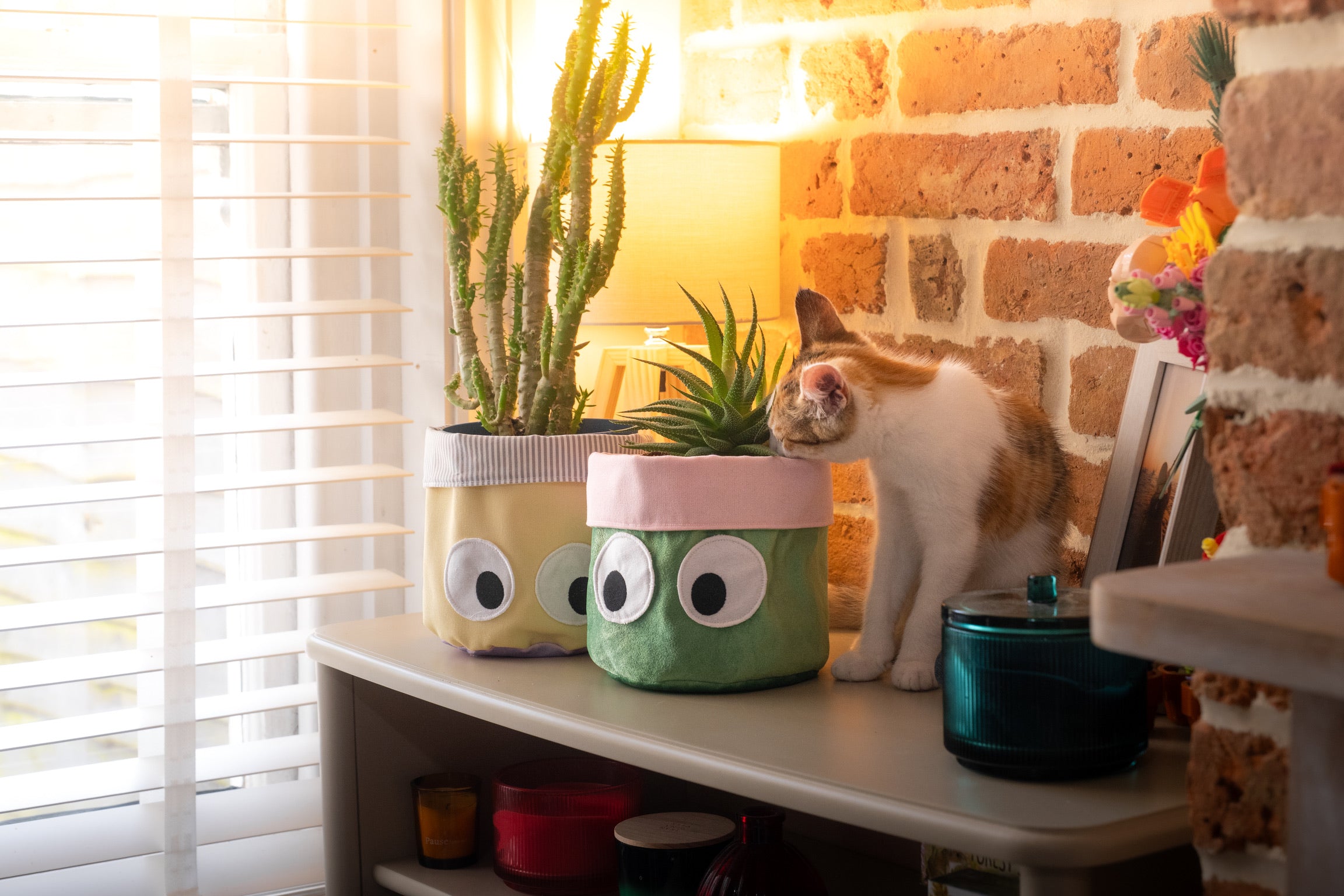Handmade fabric plant pot, with embroidered eyes. Styled on a shelf with houseplants and a kitten